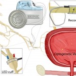 diagram of how device works