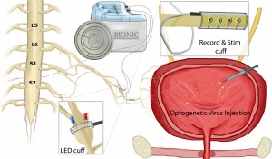 diagram of how device works