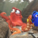 dory and hank image
