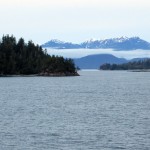 Marine microbes were collected from a low-oxygen fjord in Barkley Sound, off the coast of British Columbia.