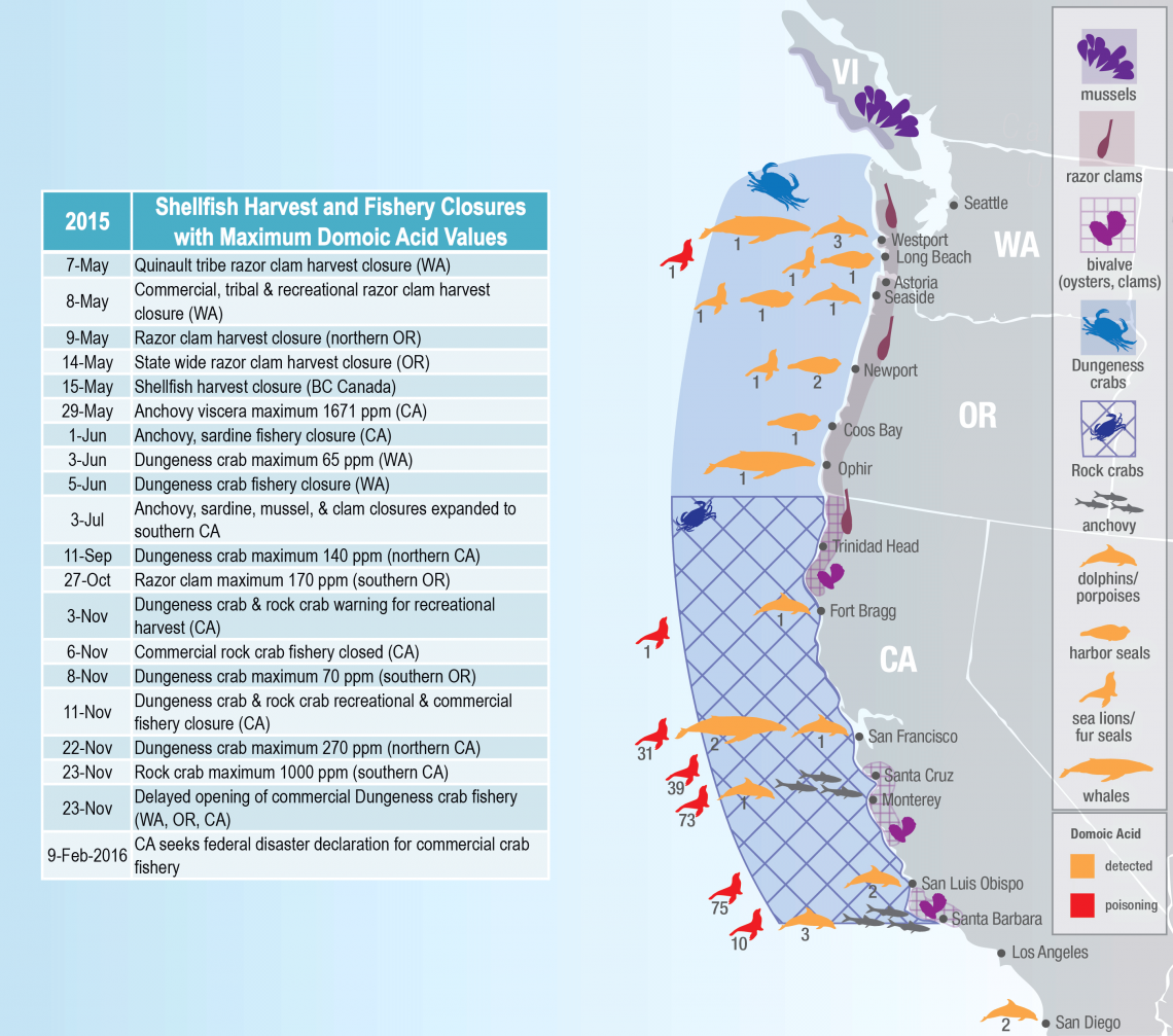 Algal Bloom Dead Zones