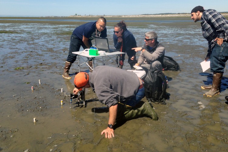 Marco Hatch works with native students to instrument mudflats of Puget Sound for environmental data collection.