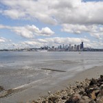 A view of downtown Seattle.