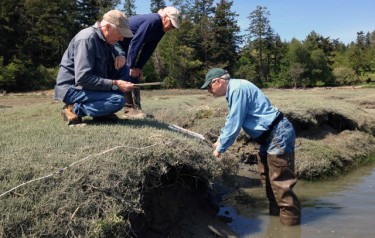 volunteers checking for green crabs