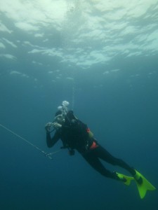 diver in water