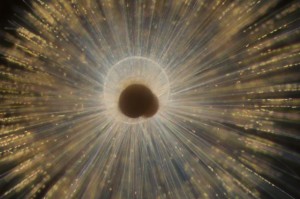 circular core with spikes radiating out