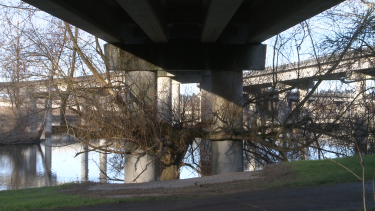 A tree wraps its branches around the concrete pillars of one of the ramps that weren’t built due to the freeway revolt. Minda Martin of UW Bothell is directing a documentary about the protest.
