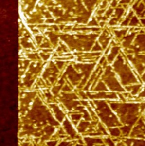 Proteins on a synthetic 2-D surface