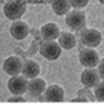Tiny particles that can deliver chemotherapy drugs.