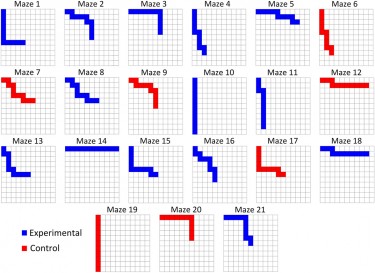 Graphic showing different maze challenges