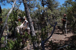 people standing among trees