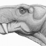 Sketch of an extinct animal.