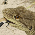 A drawing of lizards eating wasps.