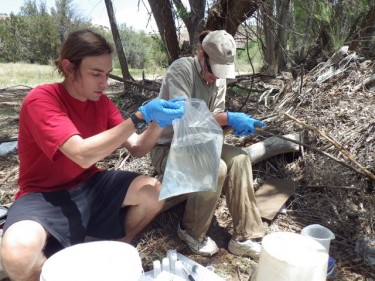 measuring fish excretion