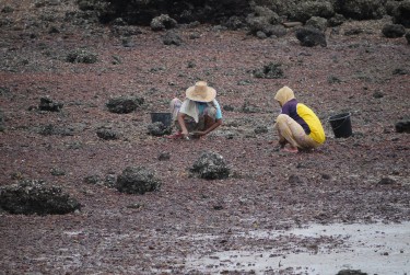women gleaners