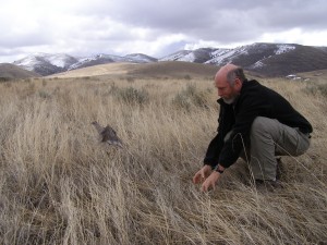 researcher kneeling in field