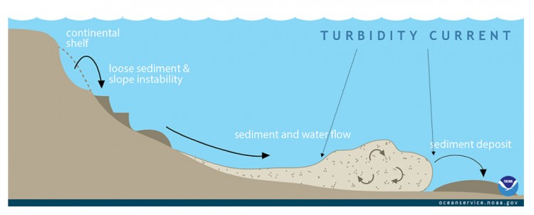 flow diagram