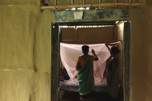 A woman inspecting a mosquito net.