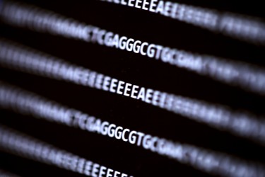 image of DNA sequence