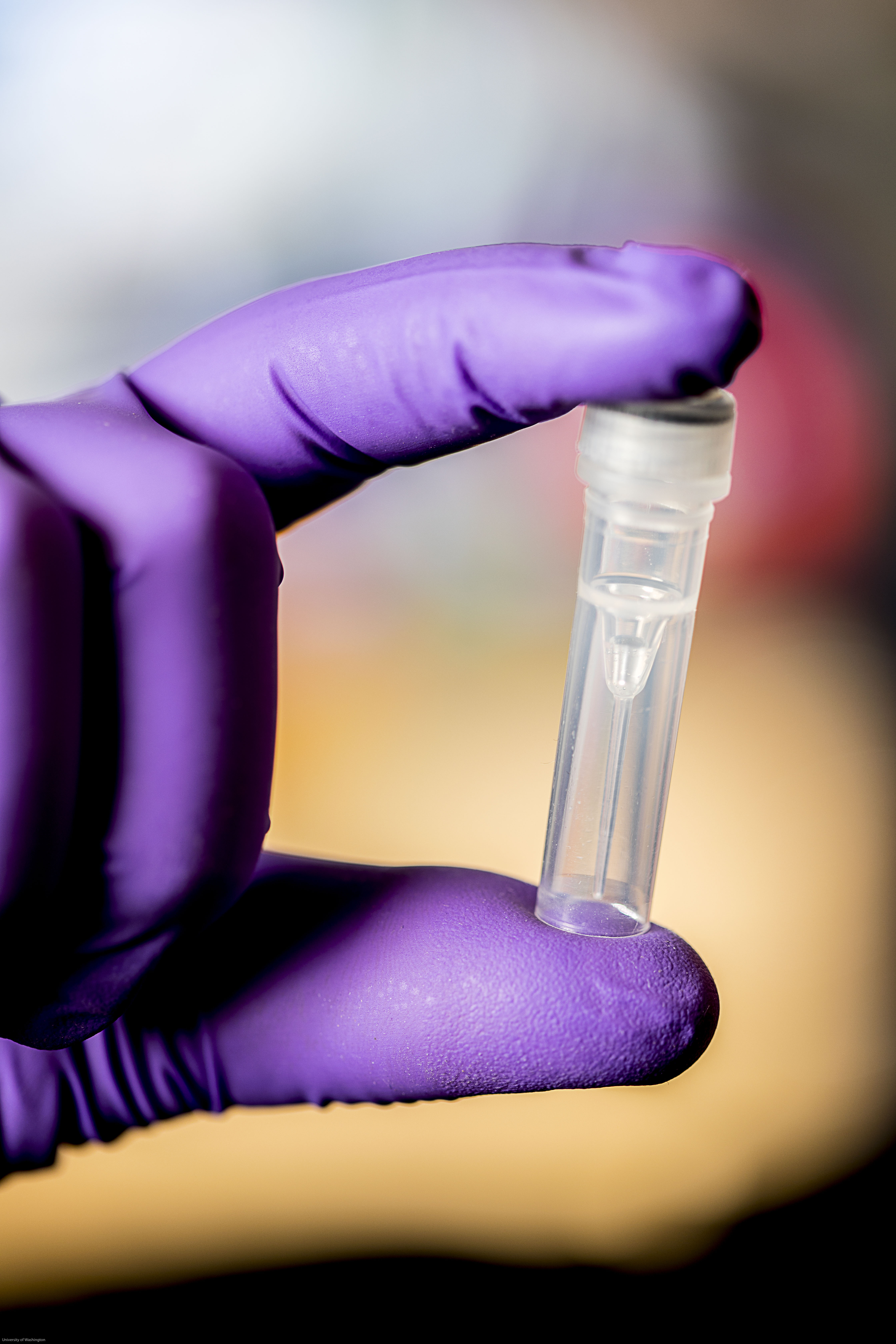 UW researchers have demonstrated for the first time that it is possible to remotely compromise a computer using information stored in DNA. This test tube holds hundreds of billions of copies of the exploit code stored in synthetic DNA molecules, which has the potential to compromise a computer system when it is sequenced and processed.