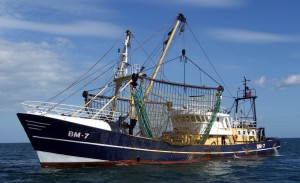 boat with net