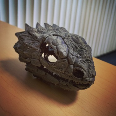 3-D printed skull