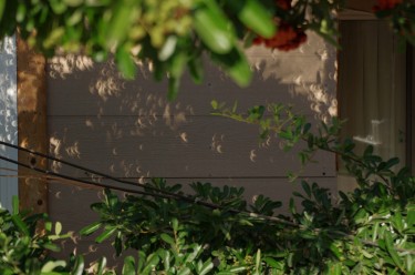A tree through which speckles of sunshine reach the ground or a flat wall can be a cool way of viewing. Watch the speckles turn into crescents as the event unfolds.