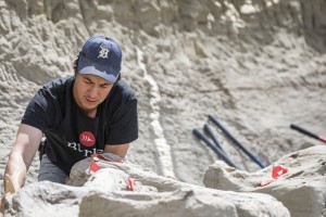 A man digging for fossils