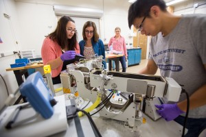 Students working in a laboratory