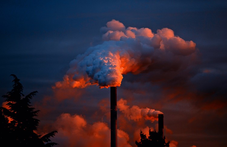Regulation of chemicals and pesticides effectively leave it to consumers to manage their own risk of exposure, writes Sanne Knudsen, a University of Washington associate professor of law.