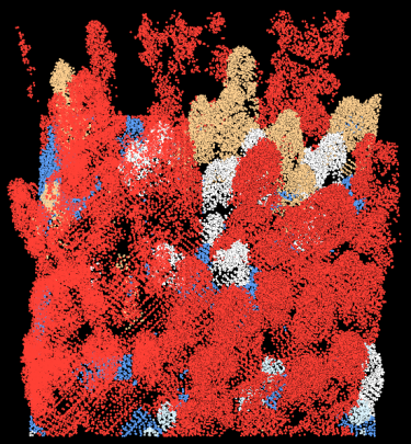 lidar image