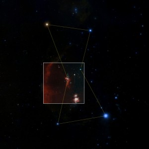 The constellation orion