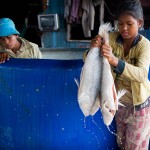 children fishing