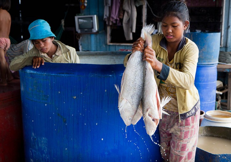 children fishing