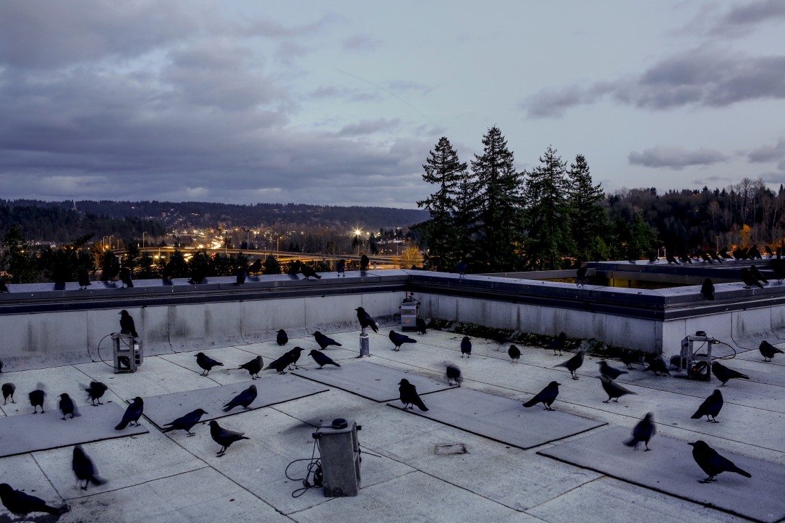 building rooftop