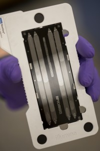 A piece of laboratory equipment