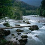 Elwha River - Olympic National Park