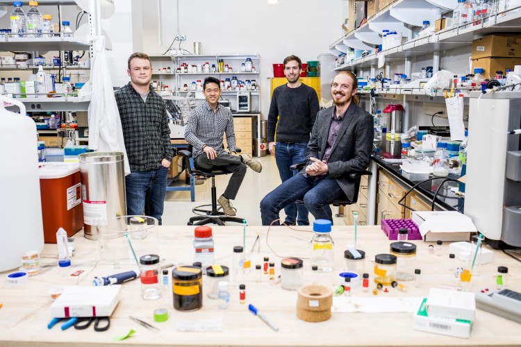 four people in a laboratory
