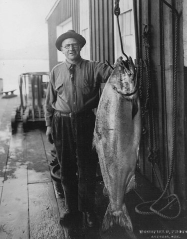large chinook salmon