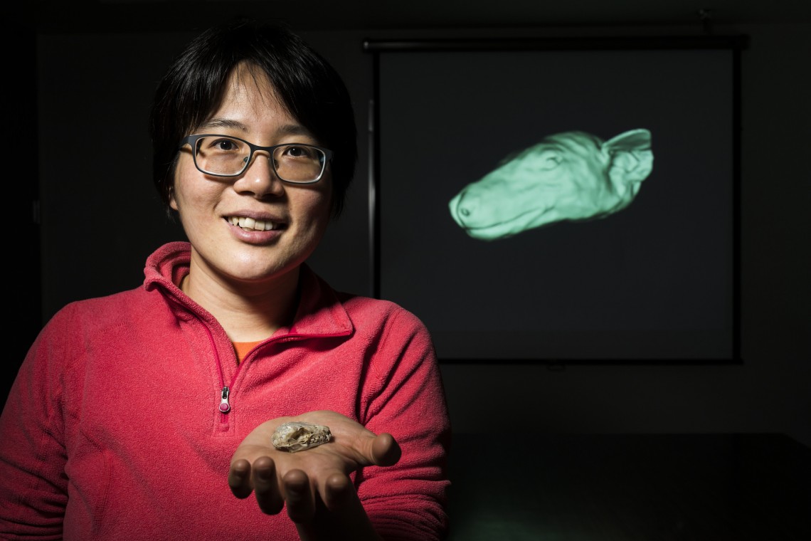 researcher with bat