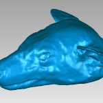 blue bat head shape