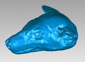 blue bat head shape