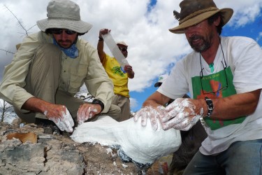 fieldwork in zambia