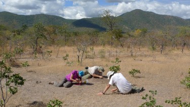 fieldwork in tanzania