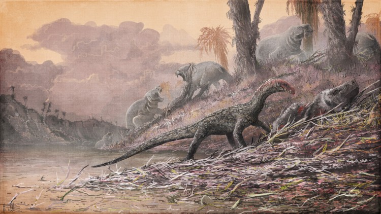 an artist rendering of teleocrater, an early dinosaur relative