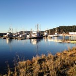 fishing boats
