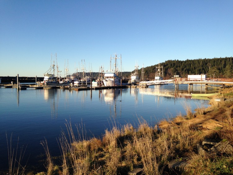 fishing boats
