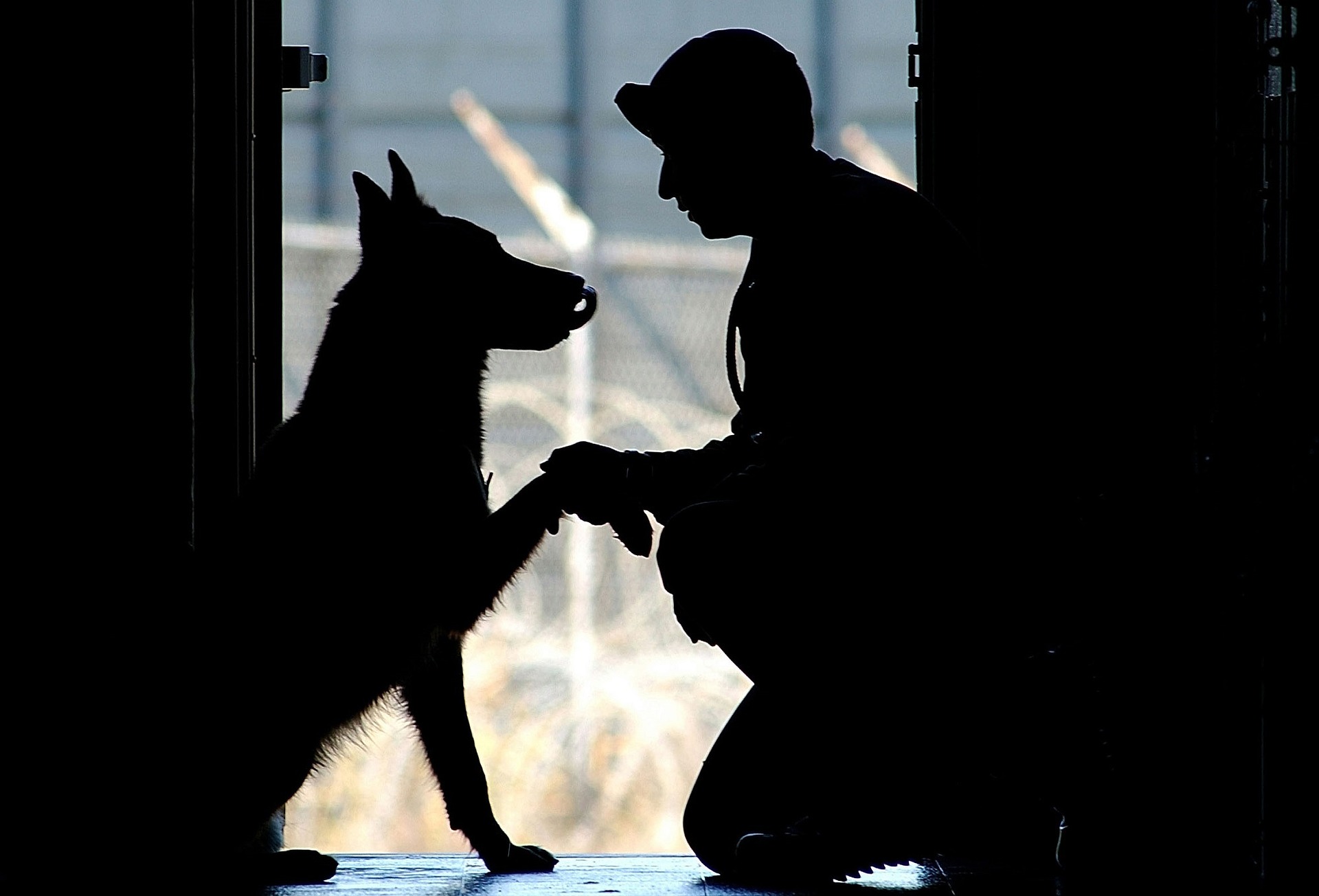 The University of Washington is looking for veterans who may be experiencing PTSD symptoms to participate in a counseling study.