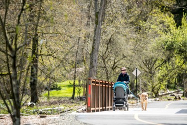 bridge with walker