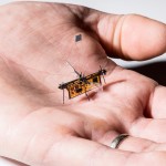 RoboFly in an engineer's hand